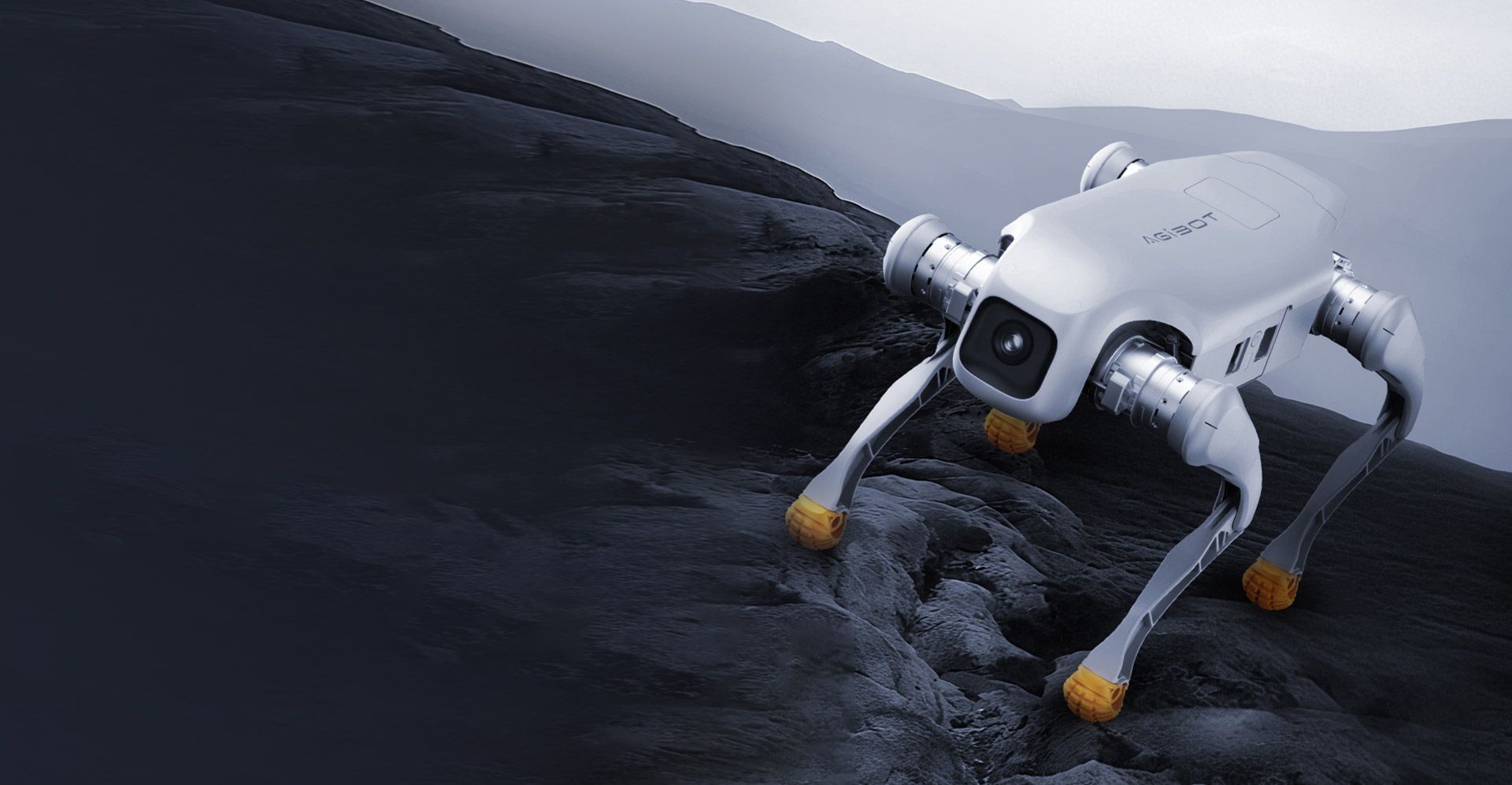 AGIBOT Pro/Edu view 2